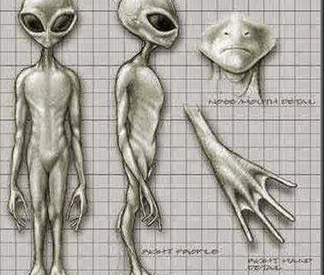 Alienigenas Greys alienígenas greys.