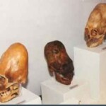 Cranios Alongados Nasca Peru os crânios alongados ao redor do mundo.