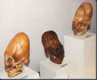 Cranios Alongados Nasca Peru os crânios alongados ao redor do mundo.