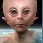 Ets Hibridos híbridos.