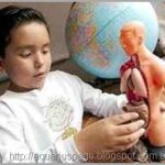 Menino prodigio da medicina maximiliano arellano o menino prodígio do méxico.