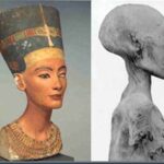 Nefértiti akhenaton crânios alongados akhenaton e o crânio alongado.