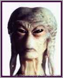 Entrevistando um Reptiliano