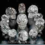 Cranios Cristal crânios de cristal.