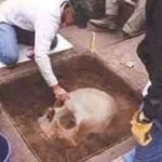 Cranios de Gigantes os filhos gigantes dos nephilins segundo a bíblia, a arqueologia e a atualidade.