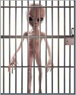 Projetos Ufologicos Secretos projetos secretos ufológicos majestic 12.