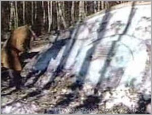 Ufo Rússia 1960