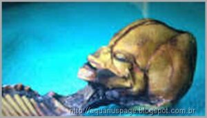 O misteriosos mini humanóides encontrado no Chile e na Rússia 1 Mini alien atacama