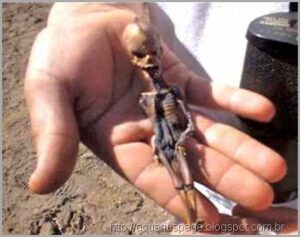 O misteriosos mini humanóides encontrado no Chile e na Rússia 2 Mini humanoide atacama