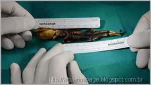 O misteriosos mini humanóides encontrado no Chile e na Rússia 6 Mini humanoide chile