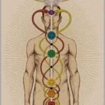 Simbolismo dos chakras os chakras.