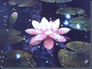 A Flor de Lótus