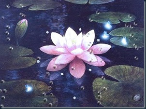 Flor Lotus Seu Simbolismo a flor de lótus.