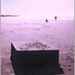 Misteriosas Caixas Que Gemem caixas misteriosas "que gemem" aparecem em praias nos eua.