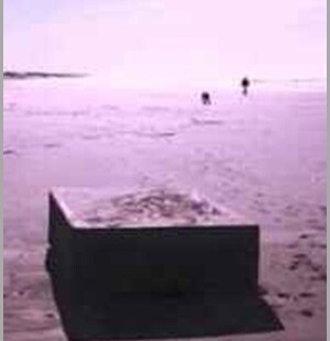 Misteriosas Caixas Que Gemem caixas misteriosas "que gemem" aparecem em praias nos eua.