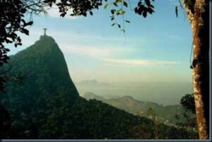 Floresta da tijuca
