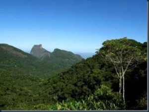 Vista morro queimado