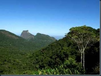 Destruição do Meio Ambiente e o Colapso de Civilizações 5 Vista Morro Queimado — Destruição do Meio Ambiente e o Colapso de Civilizações.