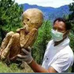 Cemiterio Gigantes Africano — Cemitério de gigantes é encontrado na África Central.