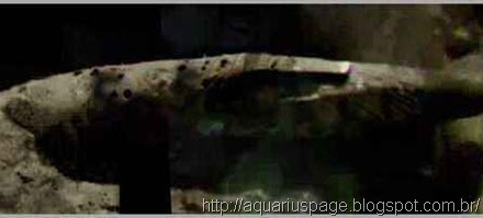 Espaconave alienigena acidentada lua enorme espaçonave antiga acidentada na lua.