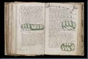 O manuscrito de Voynich é o Livro mais Misterioso do Mundo 2 Manuscrito voynich mistério