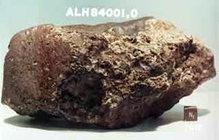 Meteoro antartida fóssil de tartaruga, encontrado na antartida, datado em 90 milhões de anos.