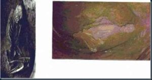 Klaus Dona: A história secreta da raça humana 1 Fossil de gigante