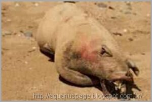 Profecias Prevêem a Volta de Titãs e Criatura Mutantes antes do Fim 6 Monstro manhattan