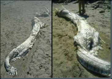 O dragão do mar da Andalucía