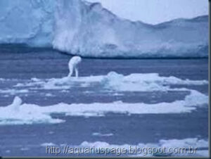 Ningen - As criaturas humanoides gigantes da Antártida 2 Ningen humanoide