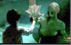 Real sereia