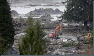 Onu alerta para impacto irreversível das mudanças climáticas 1 Destruicao matas
