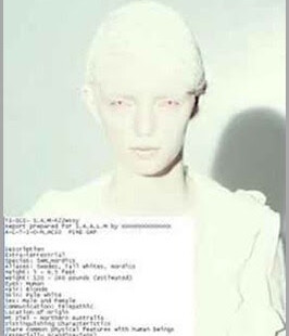 Mulher Anunnaki Foto a foto da mulher anunnaki e nossas origens extraterrenas.