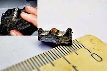 Peça de 300 milhões de anos foi encontrada em Vladivostok