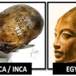 Anunnakis elite global espécie não-humana controla o mundo.