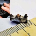 Reliquia 300 Milhoes de Anos peça de uma máquina feita a 300 milhões encrustada num pedaço de carvão.