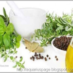 Antibioticos Naturais antibióticos naturais: 10 ervas e alimentos que matam superbactérias.