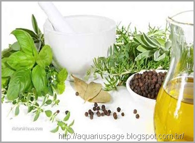 Antibioticos Naturais antibióticos naturais: 10 ervas e alimentos que matam superbactérias.