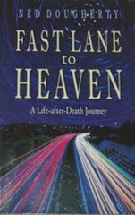 Fastlane to heaven livro o futuro dos eua, por ned dougherty.