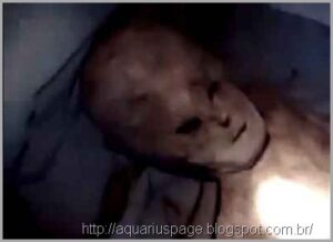 Alienígena dos andes
