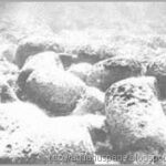 Ruínas submersas caribe restos de 10 mil anos descobertos na américa central.