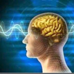 Nova Frequencia Vibracional o cérebro e a nova frequência vibracional.