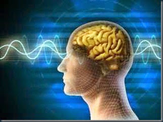 Nova Frequencia Vibracional o cérebro e a nova frequência vibracional.