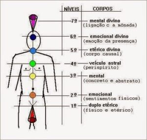 Sete niveis corpos