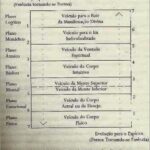 Setes corpos espirituais os sete corpos.