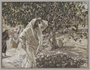 A figueira continua sendo Israel ou é a igreja ?