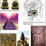 Glândula pineal símbolos a glândula pineal: um transdutor de cristal.