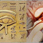 pineal olho de horus