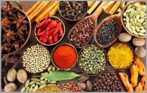 Sete Curas Naturais para Câncer combatidas pela elite Illuminati 2 Produtos naturais curas