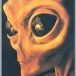 Alienígenas grays boriska o menino de marte.